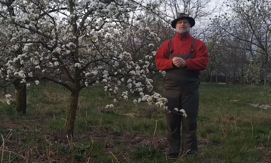 Istentisztelet a kertből