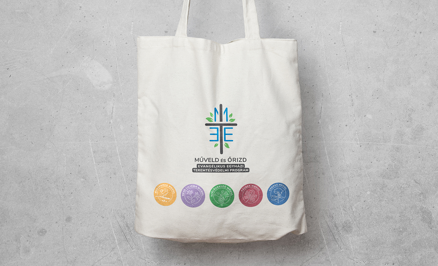 Elindult a MEET program